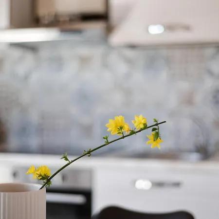 Villafiorito Holiday home *